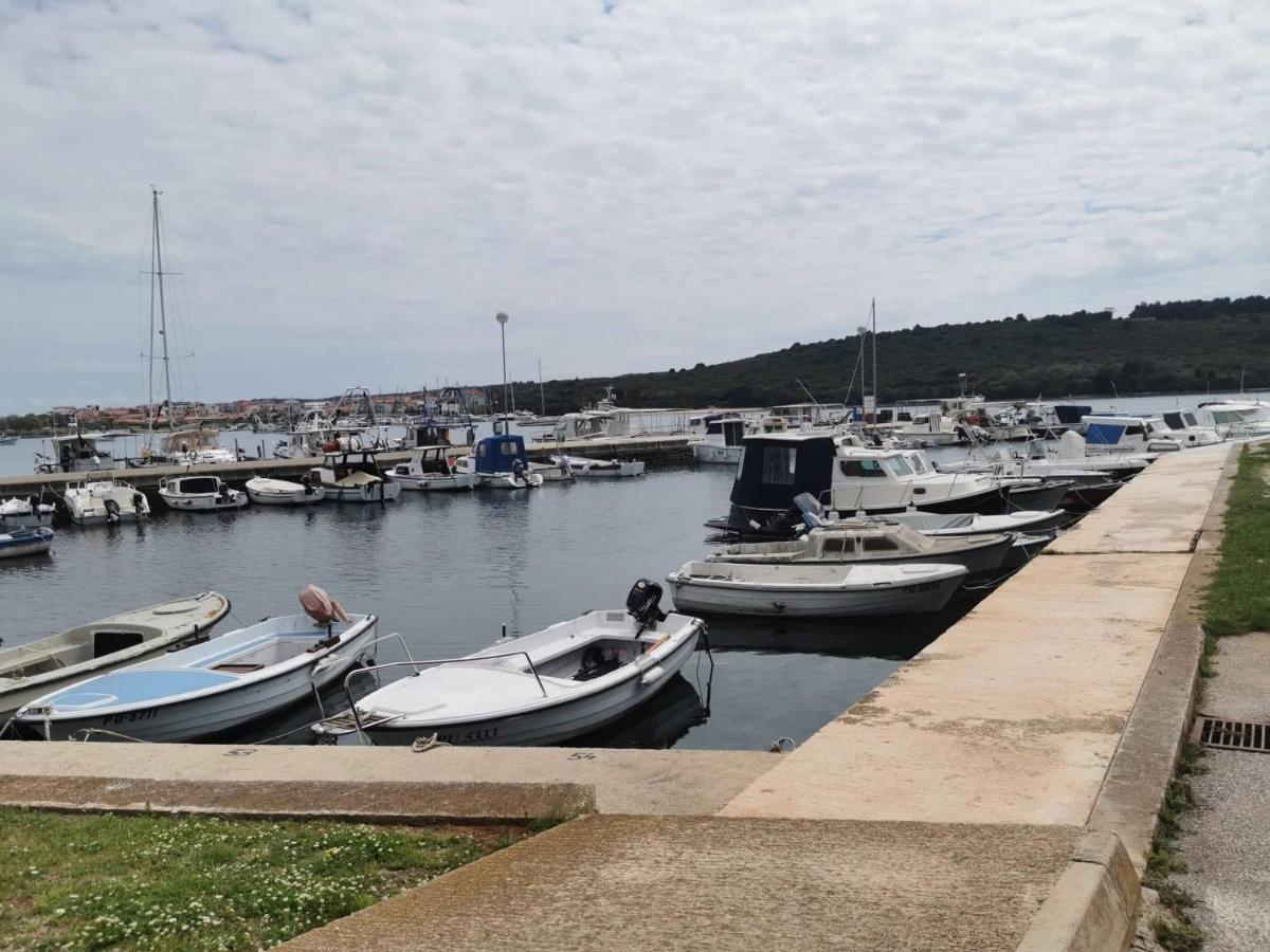 Black Pearl - Luxury Seaside App With Pool & Bbq, Istra バニョレ エクステリア 写真