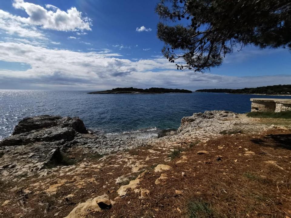 Black Pearl - Luxury Seaside App With Pool & Bbq, Istra バニョレ エクステリア 写真