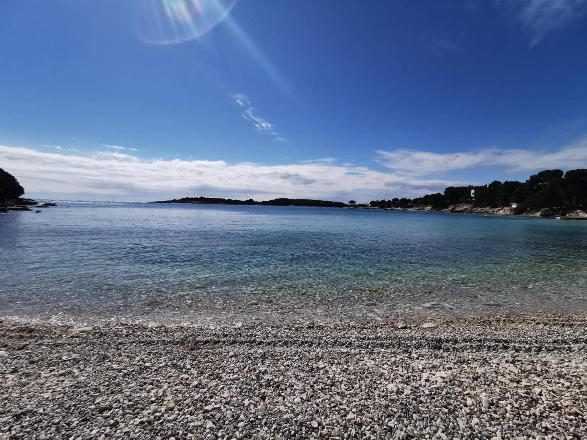 Black Pearl - Luxury Seaside App With Pool & Bbq, Istra バニョレ エクステリア 写真